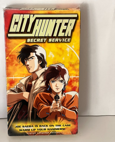 City hunter secret - city,