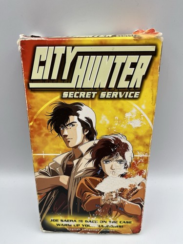 City hunter secret - city,